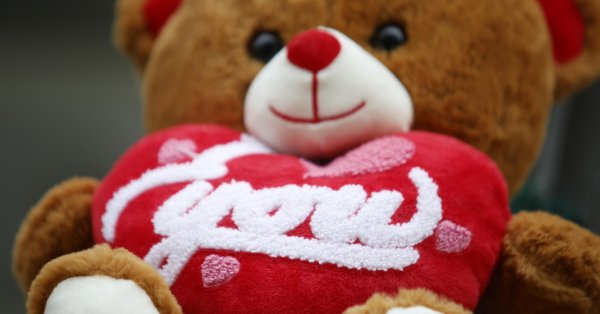 О массовых свадьбах «Святого Валентина» в Димитровграде и Хасково