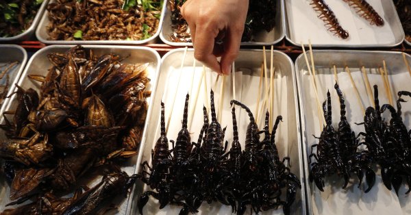 Насекомые также входят в греческое меню.