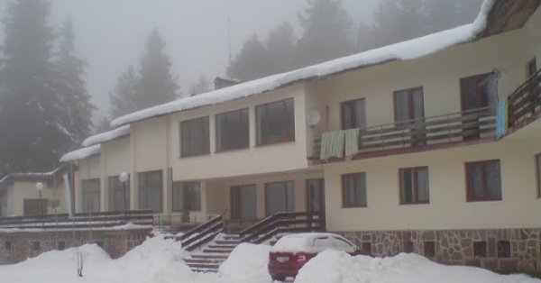 Проверяют, не являются ли три трупа в хижине "Петрохана" теми, кого разыскивает "Наглите"