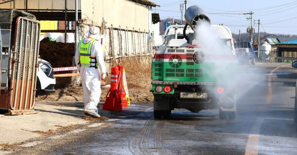 Большая часть Ларнаки находится на карантине из-за вспышки ящура