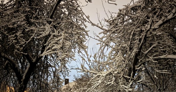 Погода сегодня: пасмурно, дождь со снегом