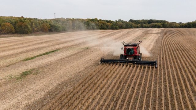 О росте цен на некоторые крупы на мировых биржах за неделю сообщает SSB