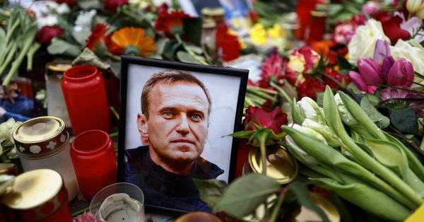 Алексея Навального отравили редким лягушачьим токсином