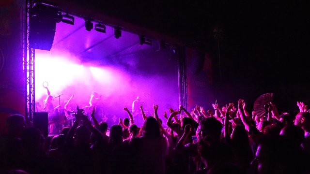 Согласно исследованию, болгарский музыкальный рынок растет двузначными темпами.