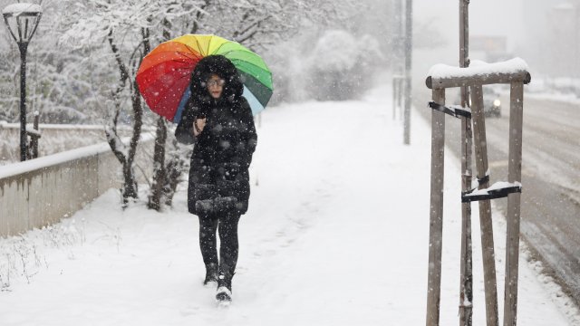 Кадр дня 21 февраля.