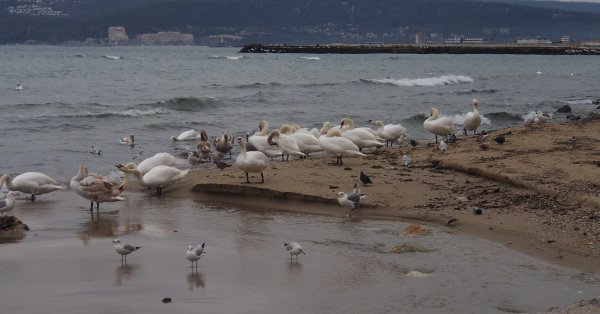 В четверг кратковременное потепление и температура до 12°.