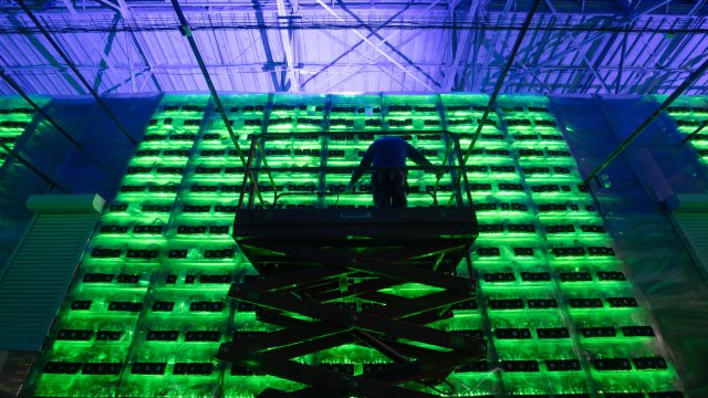 Измеритель доходов криптомайнеров от майнинга биткойнов достиг рекордно низкого уровня