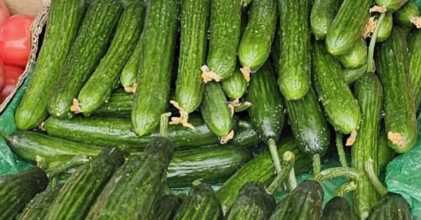 Болгарская «Снежанка» обогнала в рейтинге греческие цацики и турецкий джадзук.