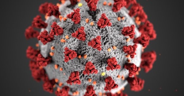 В греческом городе Кавала эксгумируют 150 человек, умерших от Covid-19.