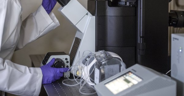 Япония частично одобрила первый в мире препарат для лечения болезни Паркинсона