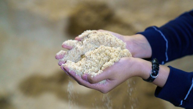 Цена на сахар упала на мировых рынках на фоне прогнозов профицита