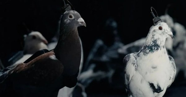 Глава компании, производящей дронов, хочет перепрограммировать украинцев