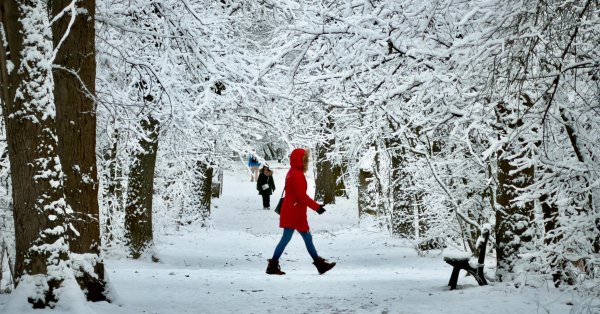 Погода завтра: Пасмурно, утром местами -10°.