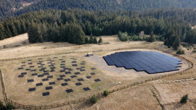 Кадр дня 17 февраля.