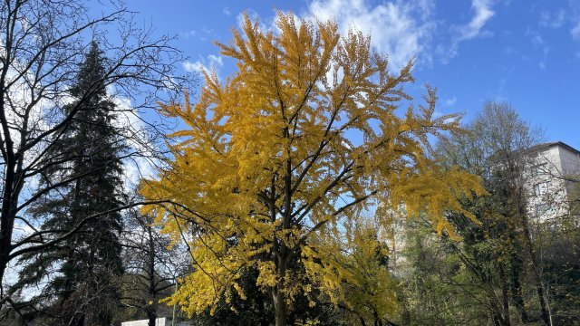 От замысла к исполнению: 16-летняя сага парка Кукуряк в Овче Купеле подходит к концу