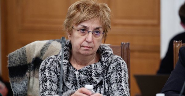 Профессор Михайлова: Сейчас Национальное собрание – это кошмар