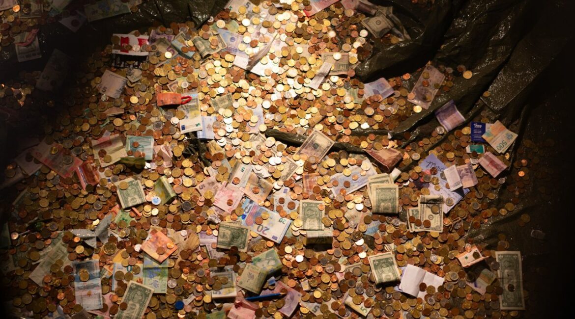 Не пора ли переосмыслить активные приюты?