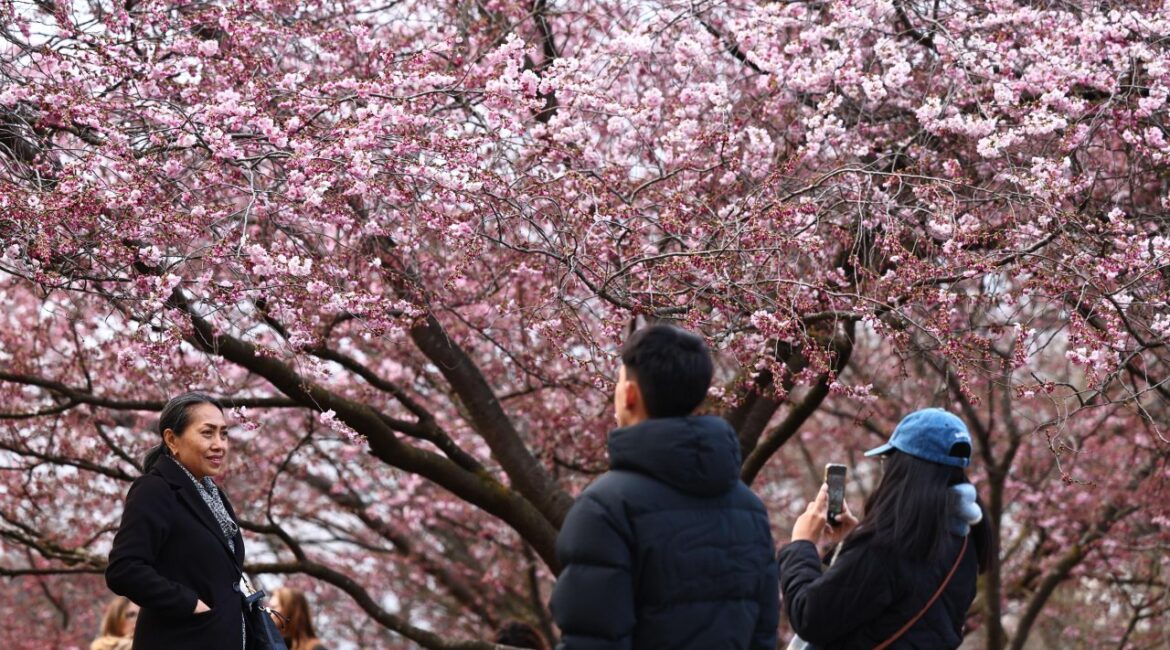 Кадр дня 23 марта.