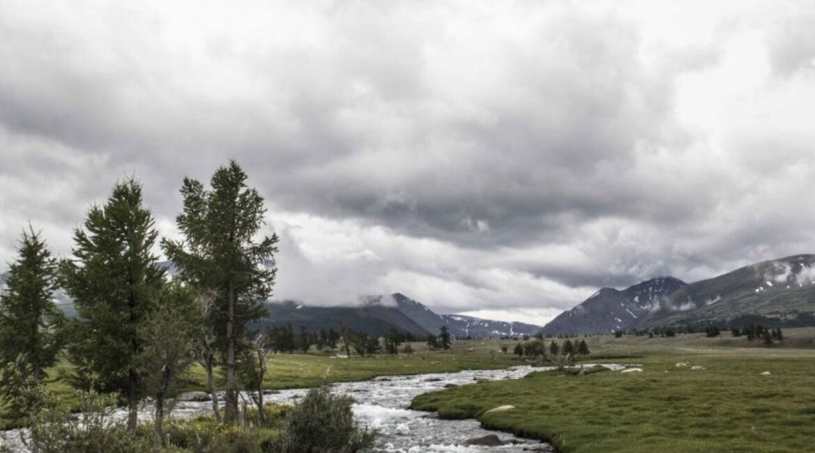 Солнце в Северной Болгарии, дождь в горах и на Черном море