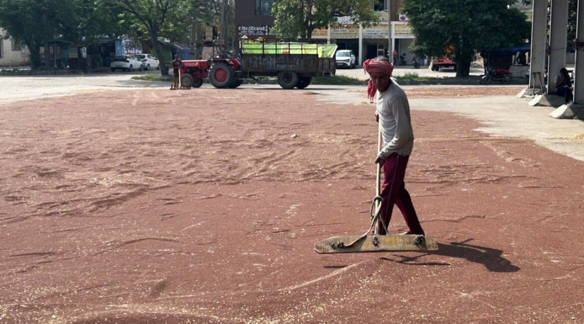 Мир изо всех сил пытается обеспечить достаточное количество удобрений и предотвратить продовольственный кризис
