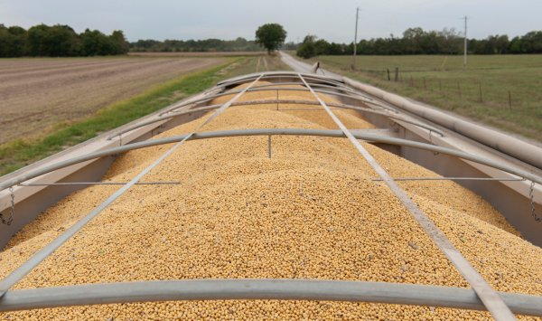 Цены на пшеницу и сою растут, поскольку война угрожает ограничить поставки