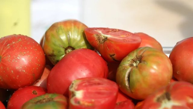 Стабильности болгарского тепличного производства угрожает недобросовестная конкуренция