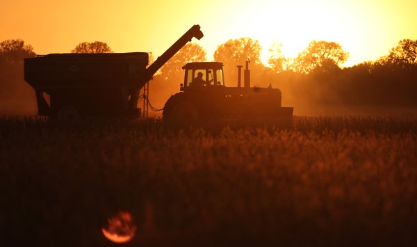 Существует тройная угроза мировой продовольственной безопасности