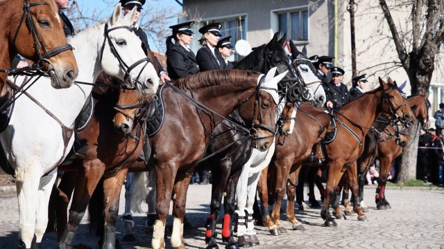 Кадр дня 28 февраля.