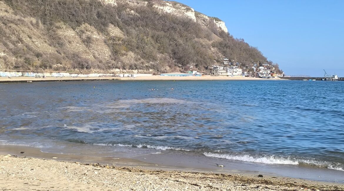 В районе Шаблы отсутствует загрязнение моря, что является причиной массовой гибели охраняемых видов.