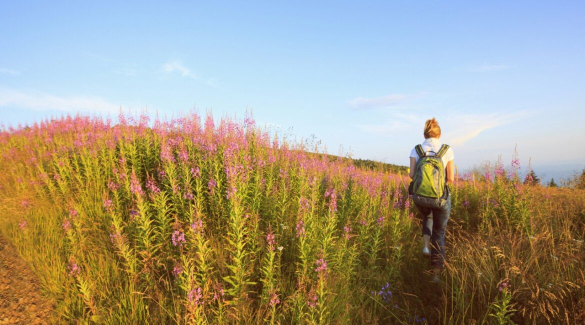Солнце переходит в Овен – как это повлияет на ваш знак зодиака?