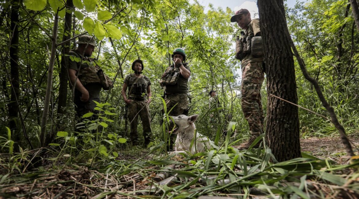Германия усиливает поддержку: финансирует беспилотники STRILA для Украины