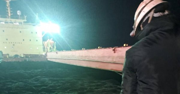 BABH: Пестициды были обнаружены в подсолнухах из Аргентины и на втором корабле