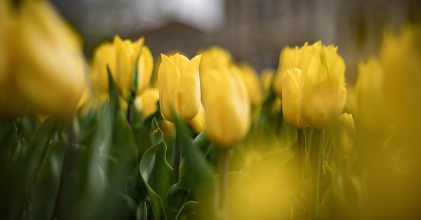Завтра будет солнечно, температура немного понизится