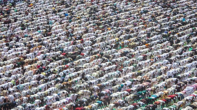 Кадр дня 21 марта.