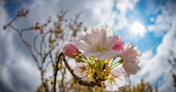 Пасмурная погода в праздничный 3 марта