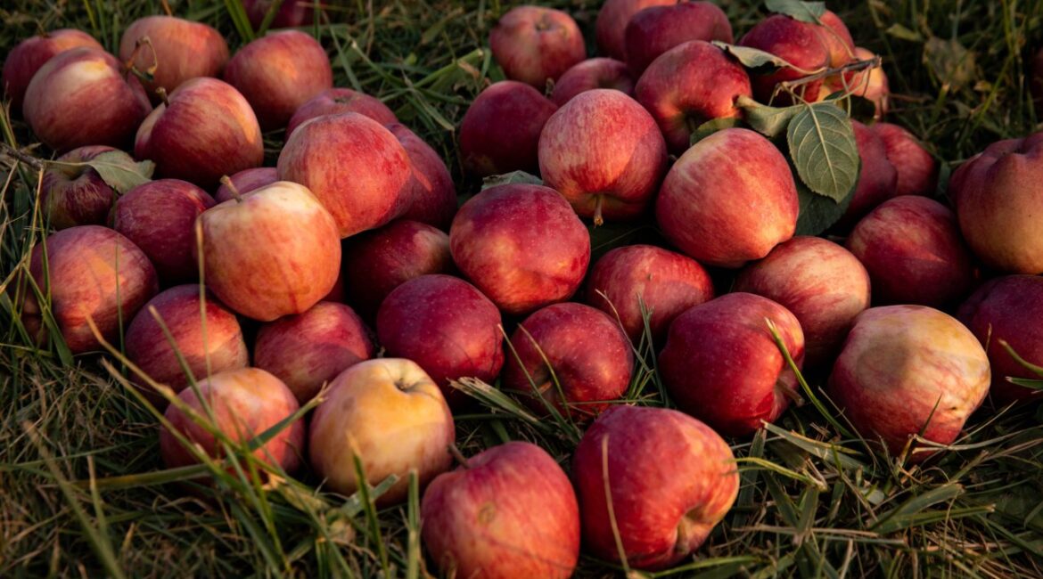 Высокие цены на топливо сделают фрукты и овощи в нашей стране дороже, считают в отрасли