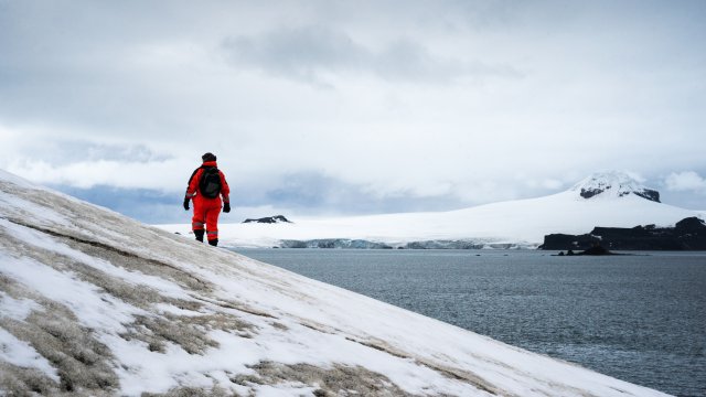 Может ли таяние ледников замедлить изменение климата?