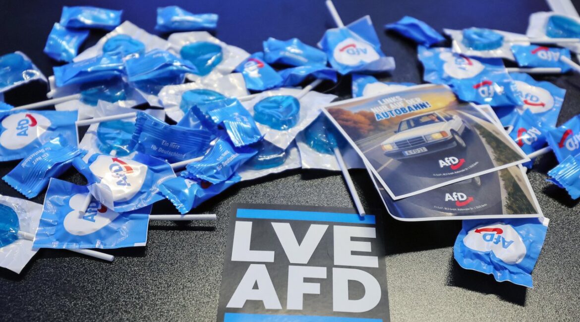 «Альтернатива для Германии» обогнала партию Мерца в новых опросах