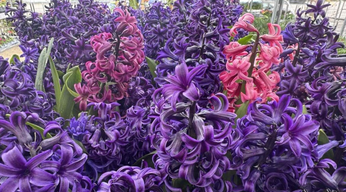 Погода завтра: будет солнечно, температура до 20°.