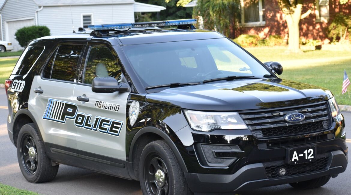 Влиятельный человек убил свою девушку и пытался обвинить свою собаку