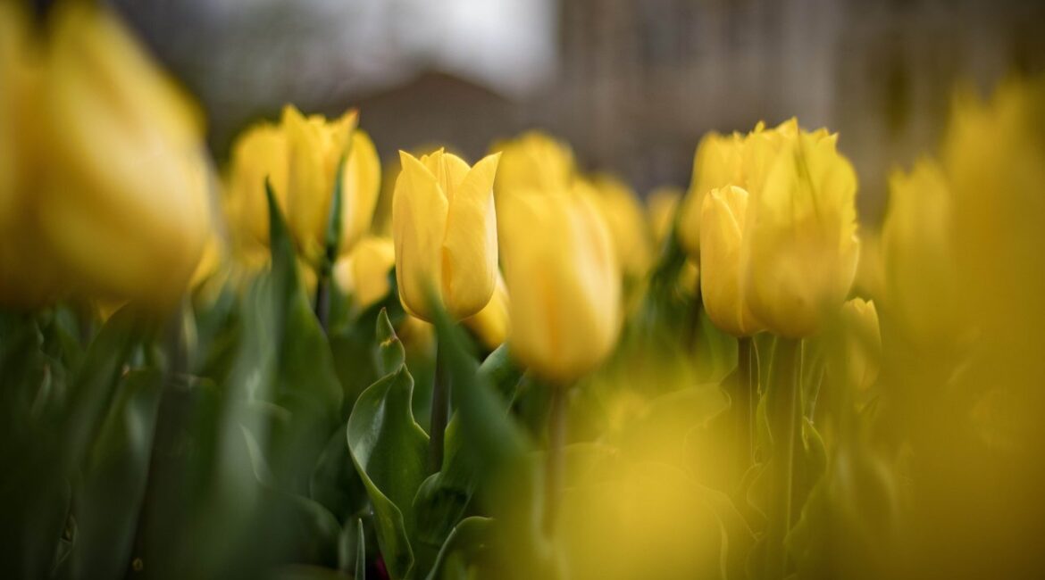 Погода сегодня: солнечно, градусов до 20.