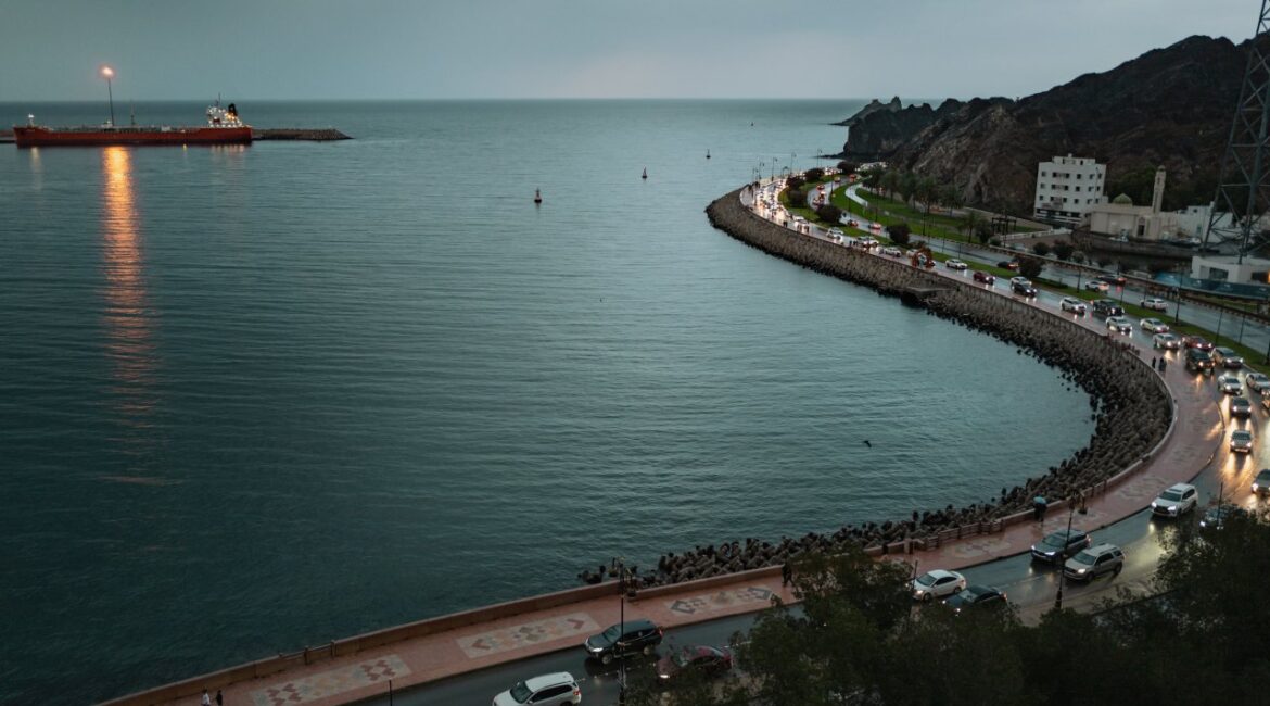 Суда каких европейских стран больше всего пострадали от кризиса в Ормузском проливе?