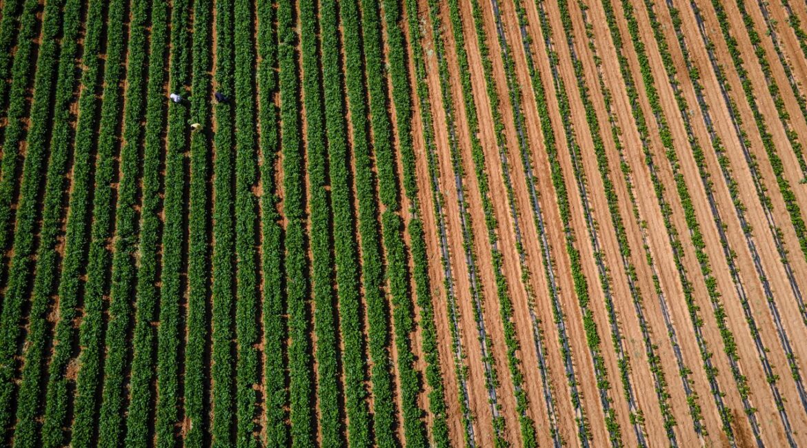 Б. Рашев: Мы вот-вот почувствуем влияние нефтяного кризиса на продовольствие