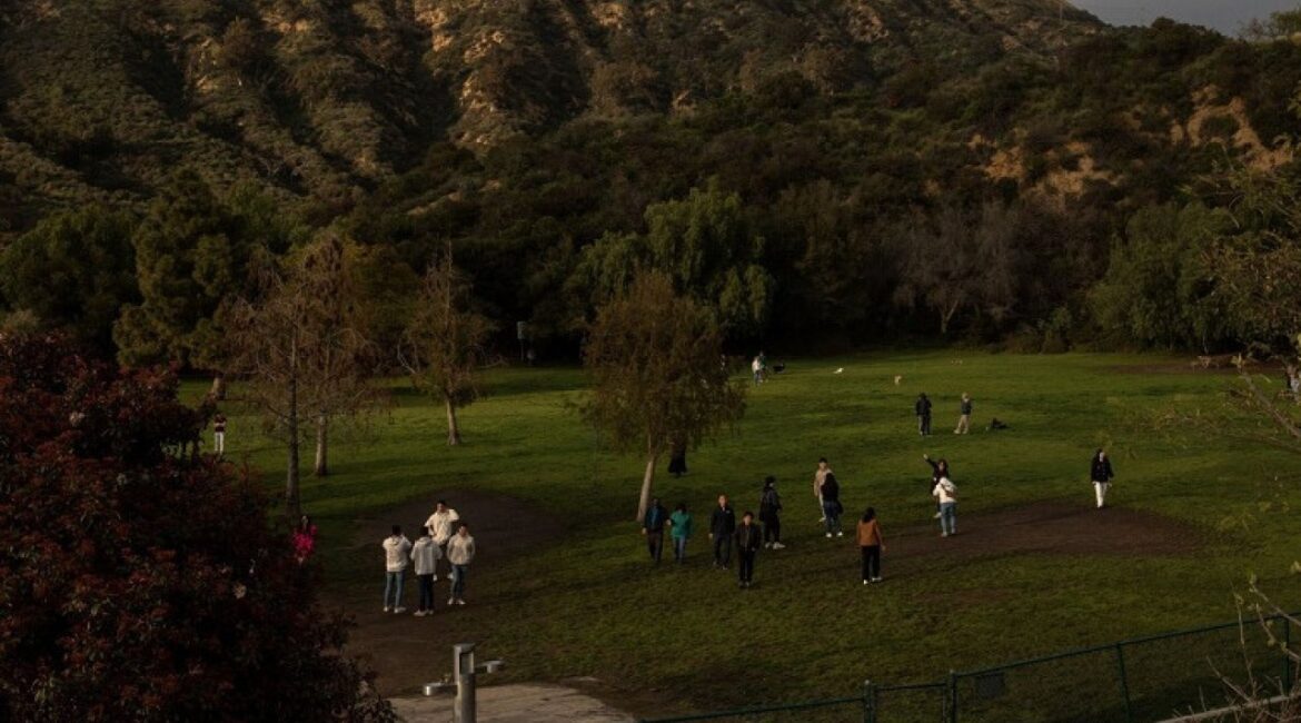 Доступ к зеленым насаждениям в Европе все больше становится роскошью