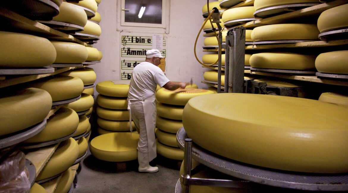 Швейцарские сыроделы нашли решение проблемы исчезающих дыр Эмменталя