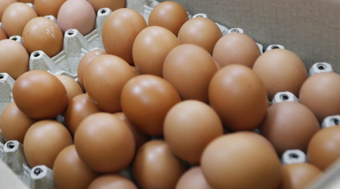 БАБХ задержал мясо и яйца птицы без документов «Капитана Андреево»