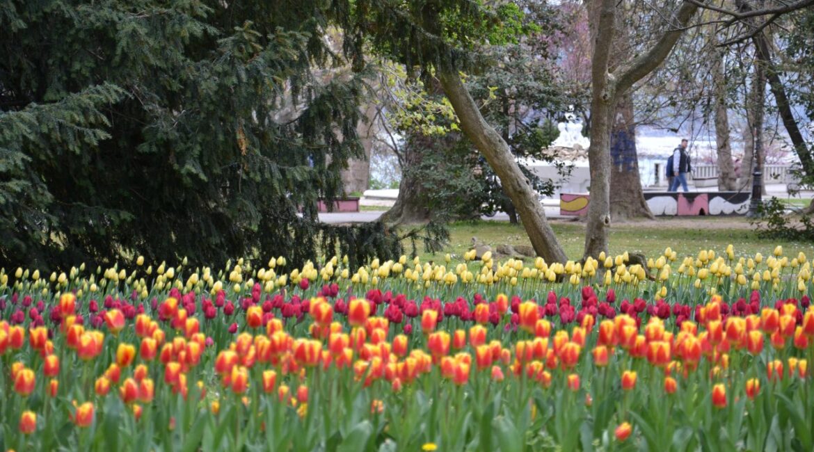 Погода на Цветнице будет солнечная, температура до 20°.