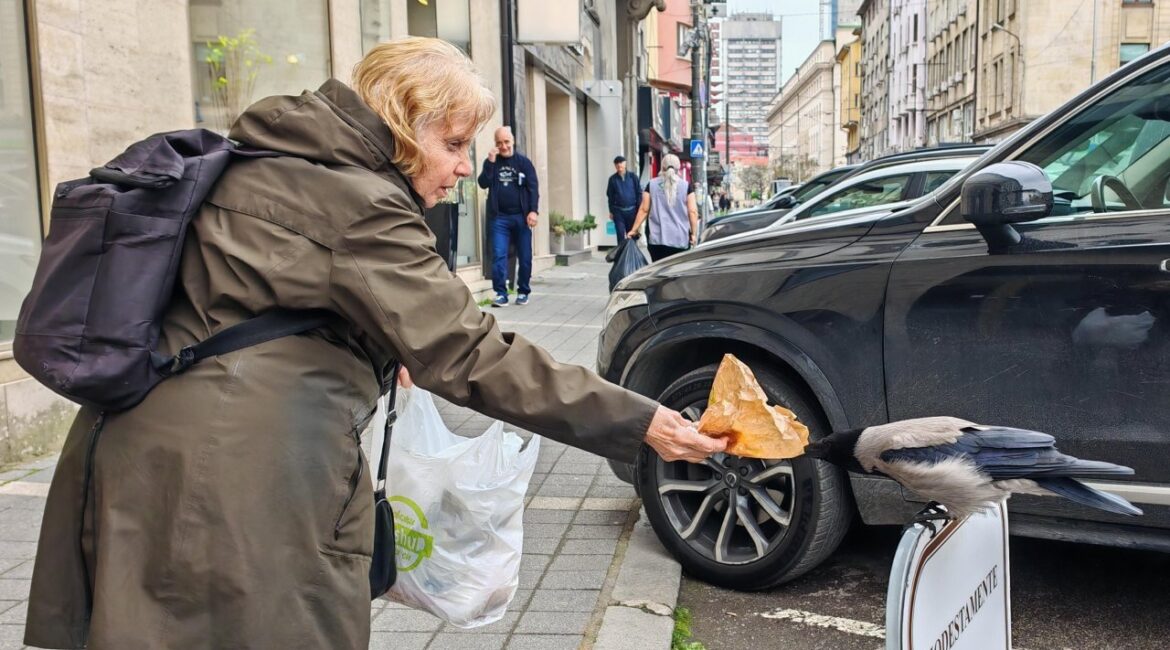 Кадр дня 21 апреля.