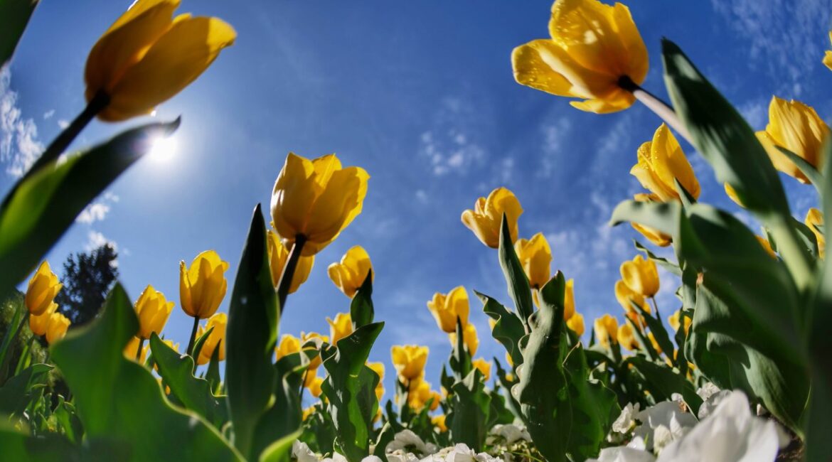 Погода сегодня: солнечно, температура достигнет 22 градусов.