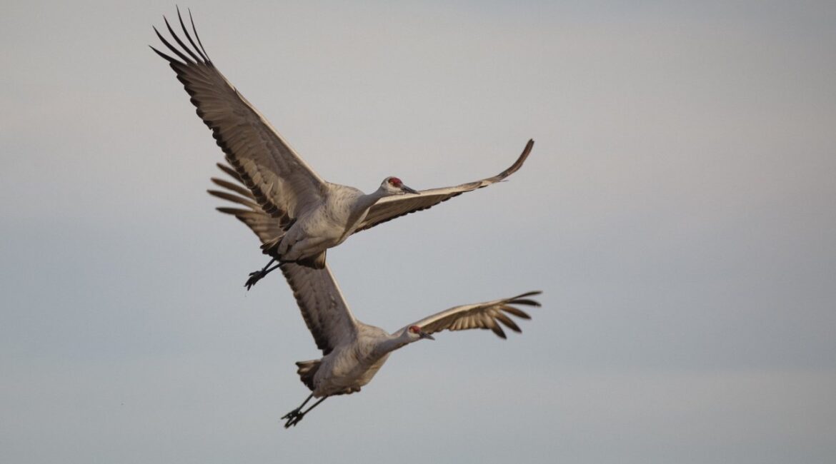 Кадр дня 24 апреля.